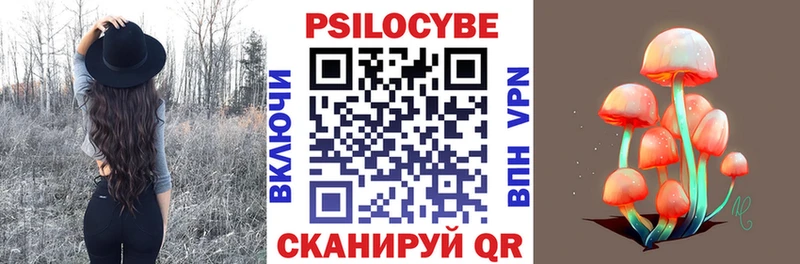 Галлюциногенные грибы Psilocybe Оренбург